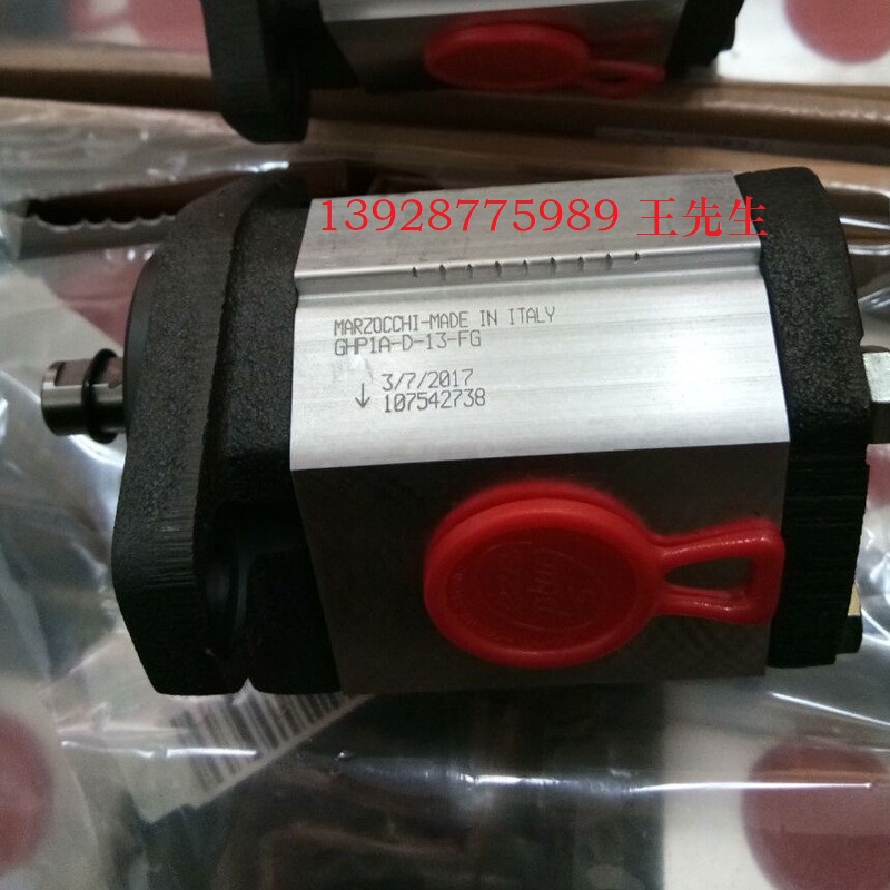 馬祖奇GHP2A-D-22-FG齒輪泵