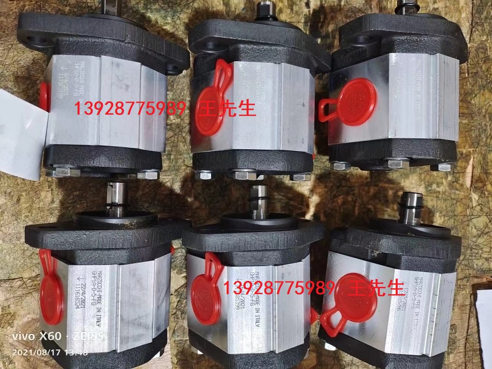 ALP1-D-6-FG馬祖奇齒輪泵ALP1-D-7-FG