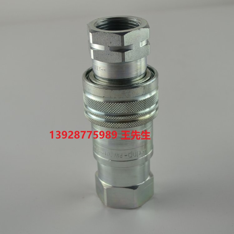 PLT4.2019.113  PLT4.2023.032意大利DNP快速接頭