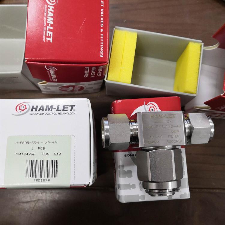 H-600R-SS-L-8MM以色列哈姆雷特T型過濾器HAM-LET過濾閥