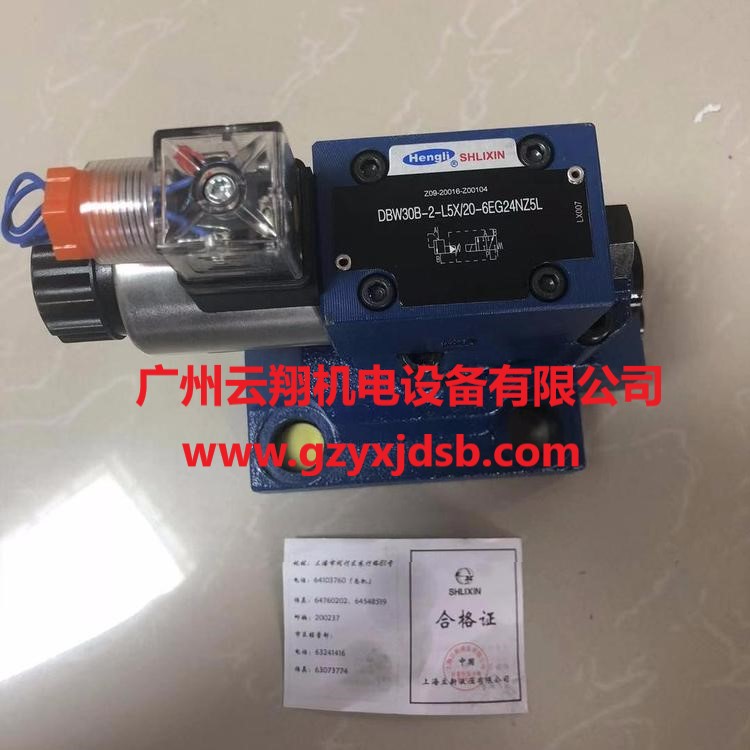 上海SHLIXI立新DBW30B-2-L5X/20-6EG24NZ5L先導(dǎo)式溢流閥