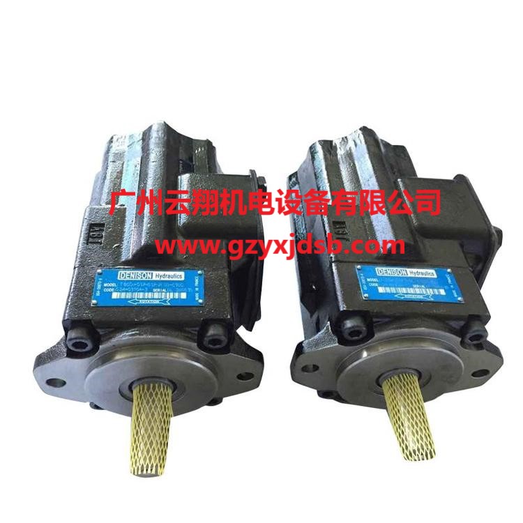 美國DENISON丹尼遜PV20-2R1D-C02柱塞泵