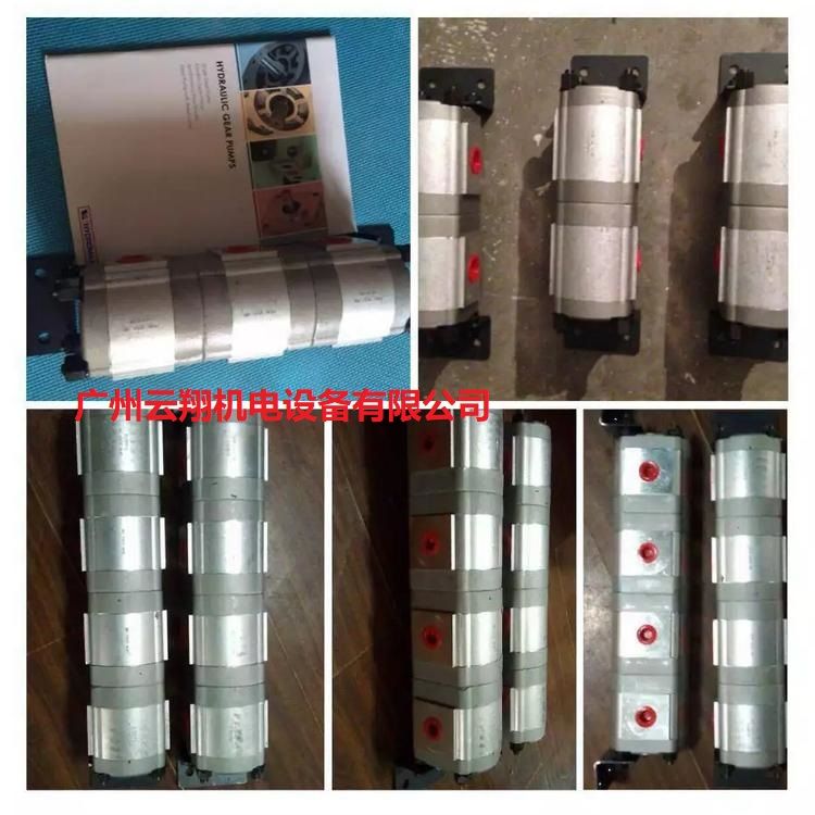 HYDROMAX同步分流馬達(dá)DFM-302A19M,新鴻油泵電機(jī)