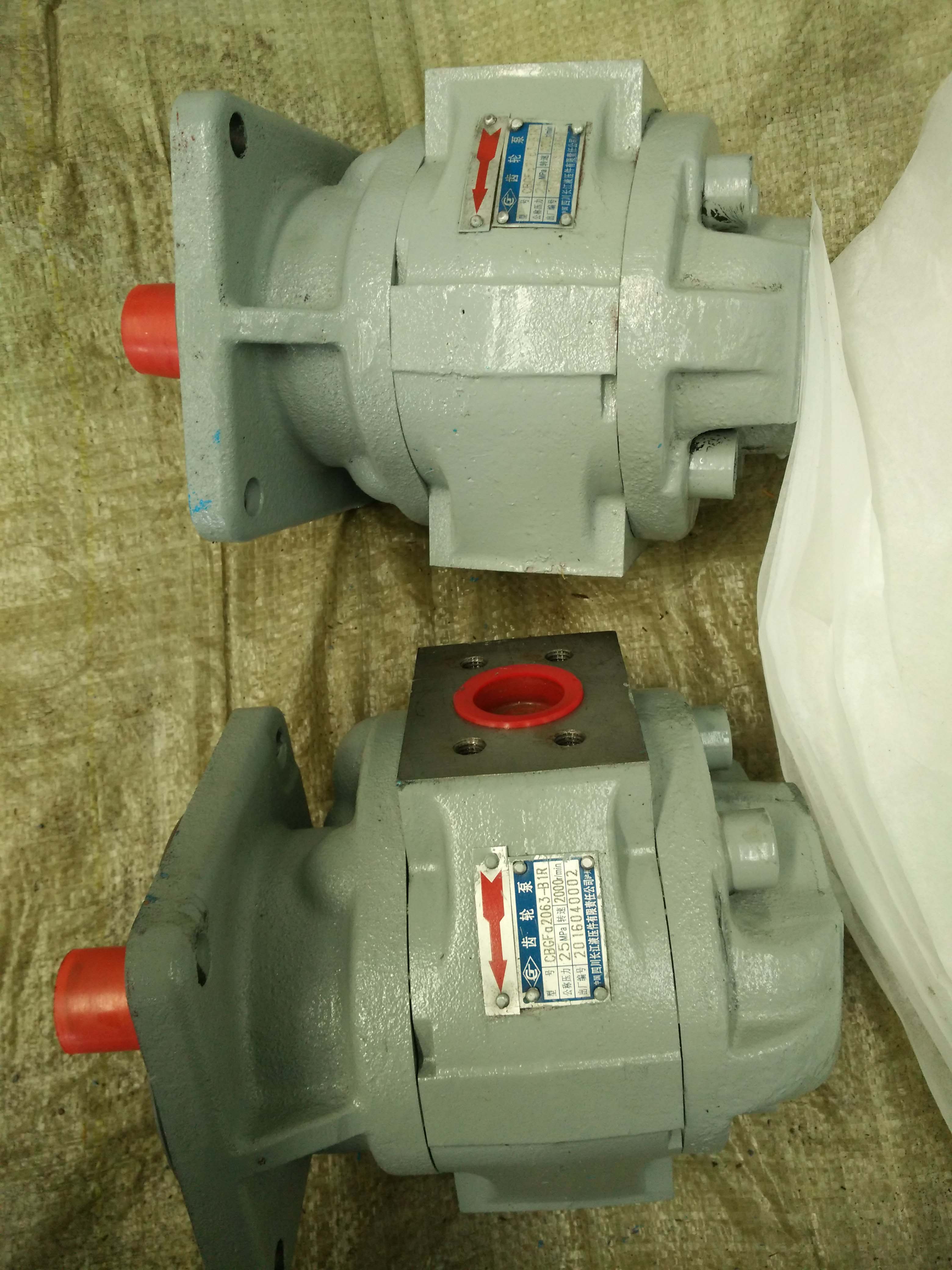 中高壓齒輪泵 馬達(dá)