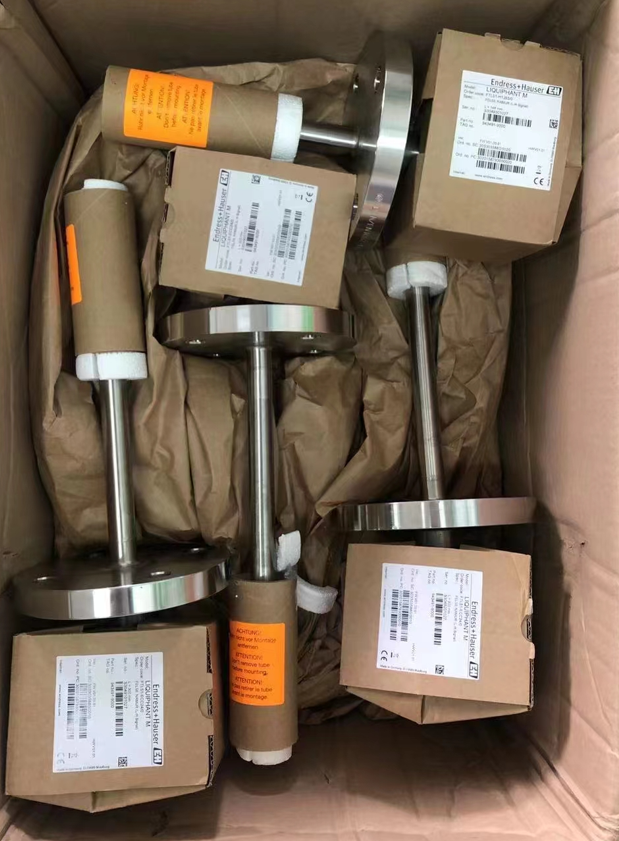 德國(恩德斯豪斯)E+H FDU84-RG1  FU95-R1G1A