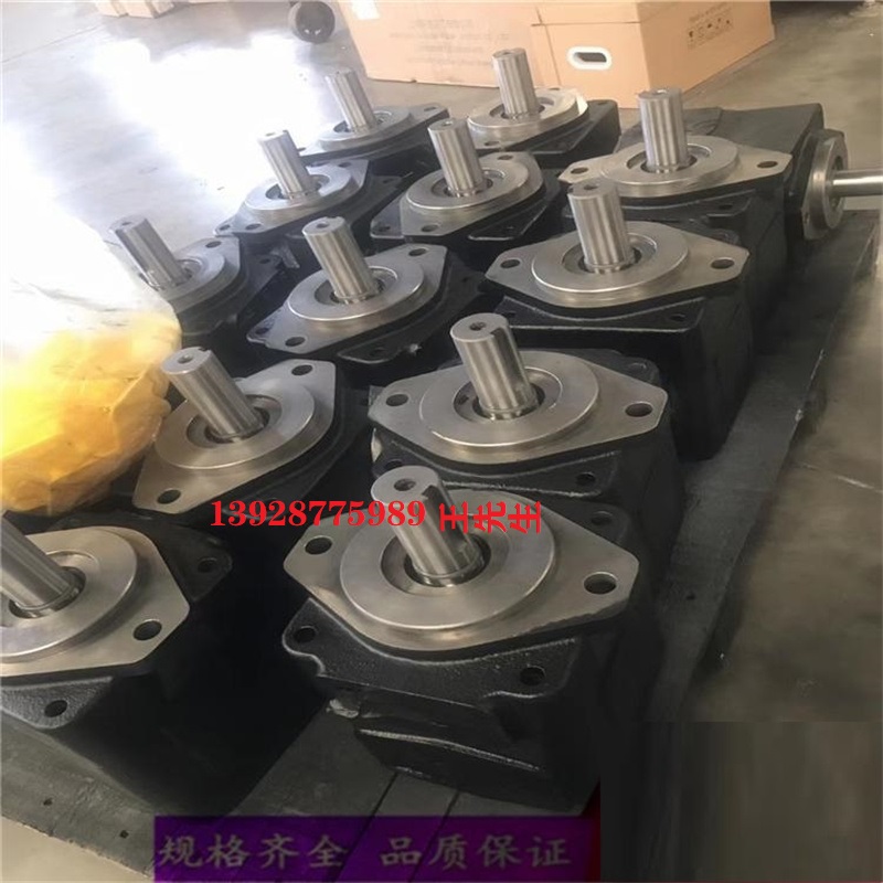 PVQ10-A2R-SE1S-20-C21-12-S2 PVQ10-A2R-SE1S-20-C21D-12 PVQ10-A2R-SE1S-20-C21D-12-S2