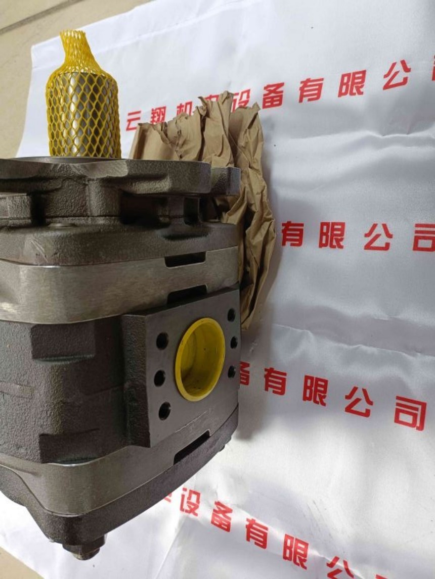 Voith福伊特IPVAP6-64 101 Voith福伊特IPVAP6-80 101 Voith福伊特IPVAP6-100 101