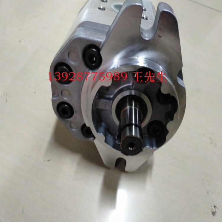 馬祖奇雙聯(lián)齒輪泵ALP4-D-270-FG-V