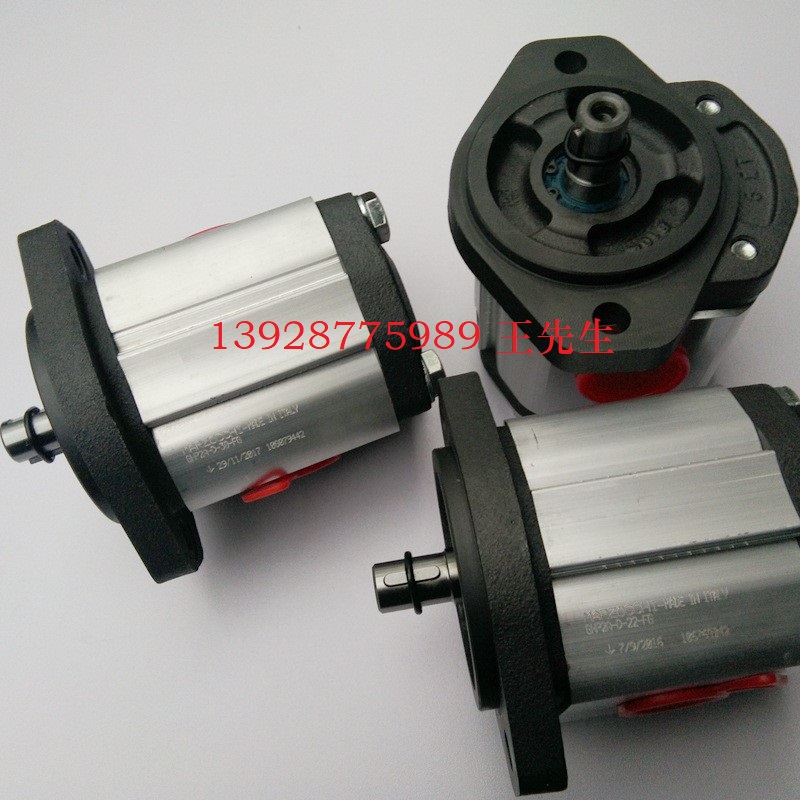  馬祖奇雙聯(lián)齒輪泵ALP4E-D-300-FG-V&nbsp;