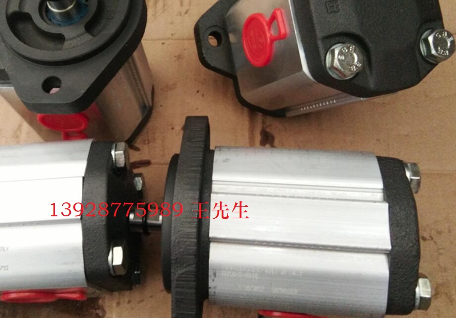 馬祖奇雙聯(lián)齒輪泵ALP2BK1-D-22-FG-V